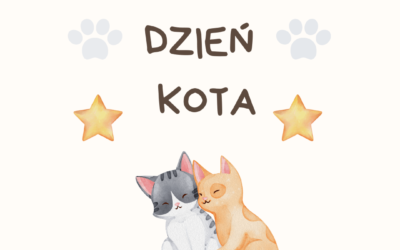 Światowy Dzień Kota